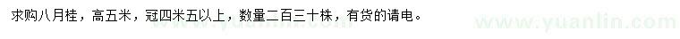 求購(gòu)高5米八月桂