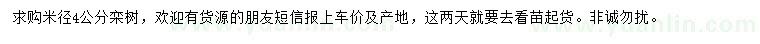 求購米徑4公分欒樹
