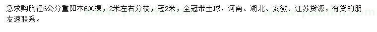 求購胸徑6公分重陽木