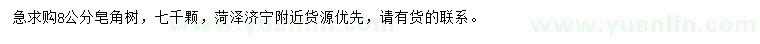 求購8公分皂角樹
