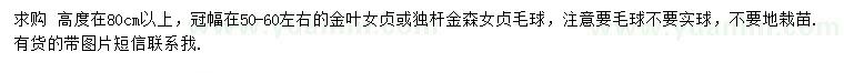 求購(gòu)冠幅50-60公分金葉女貞、金森女貞毛球