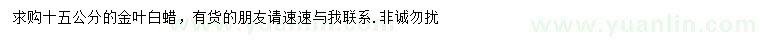 求購15公分金葉白蠟
