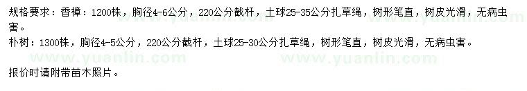 求購(gòu)胸徑4-6公分香樟、4-5公分樸樹