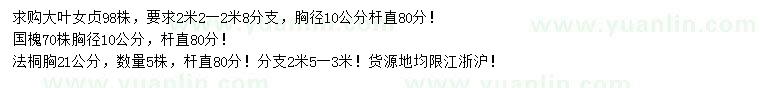 求購國槐、法桐、大葉女貞