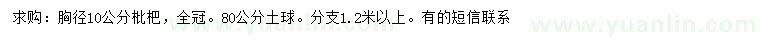 求購胸徑10公分枇杷