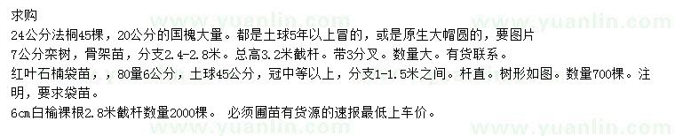 求購法桐、欒樹、紅葉石楠等
