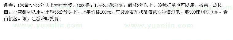求購1米量7.7公分以上大葉女貞
