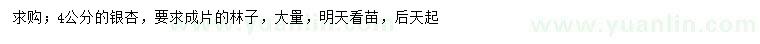 求購4公分銀杏