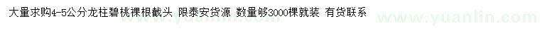 求購(gòu)4、5公分龍柱碧桃