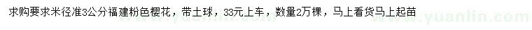 求購米徑3公分粉色櫻花