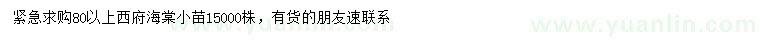 求購80公分以上西府海棠