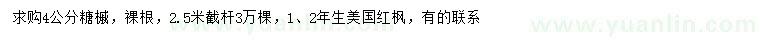 求購4公分糖槭、1、2年生美國紅楓