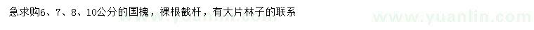 求購6、7、8、10公分國槐