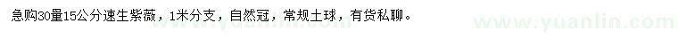 求購30量15公分速生紫薇