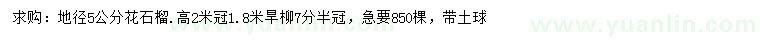 求購(gòu)地徑5公分花石榴、高2米旱柳