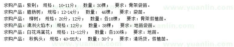 求購紫荊、臘腸樹、柳樹等