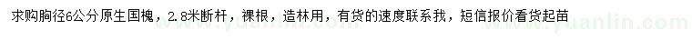 求購胸徑6公分國槐