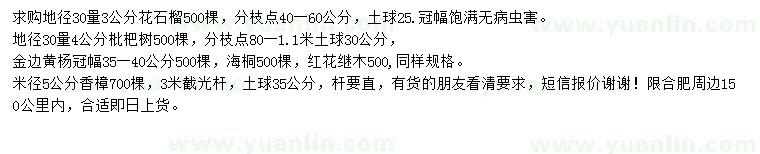 求購花石榴、枇杷樹、金邊黃楊等