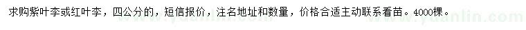 求購(gòu)4公分紫葉李、紅葉李