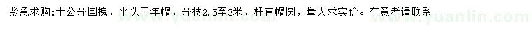 求購10公分國槐