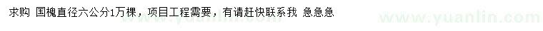 求購直徑6公分國槐