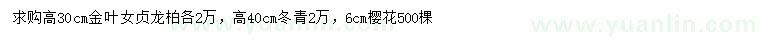 求購金葉女貞、龍柏、冬青等