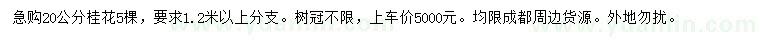 求購20公分桂花