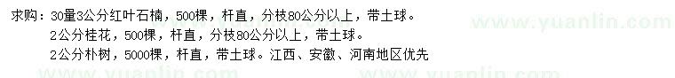 求購紅葉石楠、桂花、樸樹等