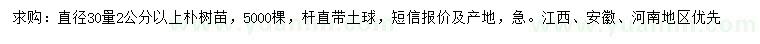 求購直徑30量2公分以上樸樹(shù)小苗
