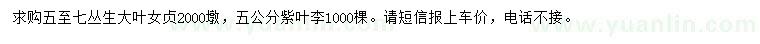 求購5-7公分叢生大葉女貞、5公分紫葉李