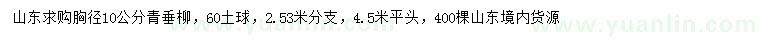 求購10公分青垂柳