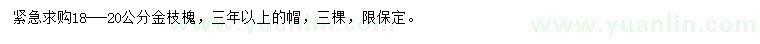 求購(gòu)18-20公分金枝槐