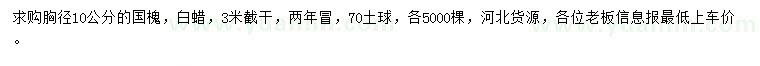 求購胸徑10公分國槐、白蠟