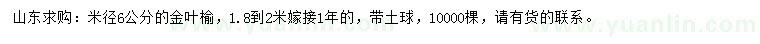 求購(gòu)米徑6公分金葉榆