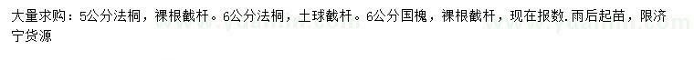 求購5、6公分法桐、6公分國槐