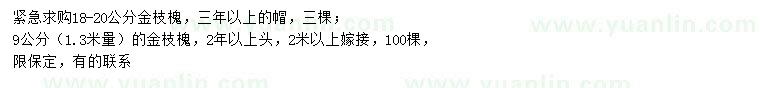 求購(gòu)1.3米量9、18-20公分金枝槐