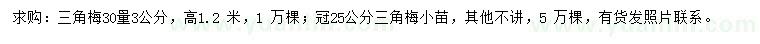 求購30量3公分三角梅、冠25公分三角梅小苗