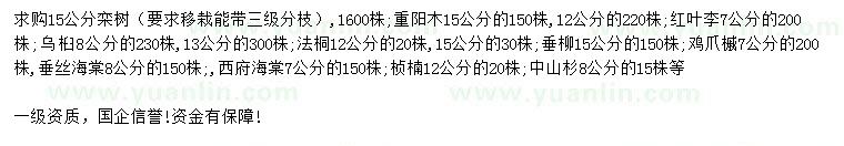 求購(gòu)欒樹(shù)、重陽(yáng)木、紅葉李等