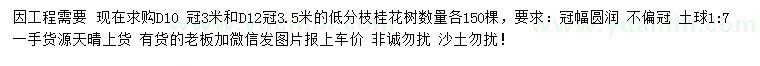 求購地徑10、12公分桂花
