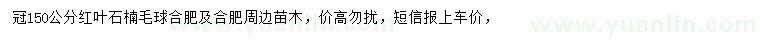 求購冠150公分紅葉石楠毛球