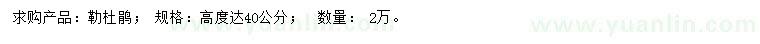 求購(gòu)高度達(dá)40公分勒杜鵑
