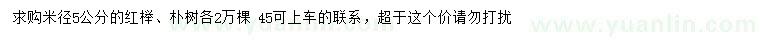 求購5公分紅櫸、樸樹
