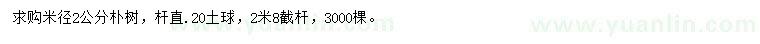求購米徑2公分樸樹