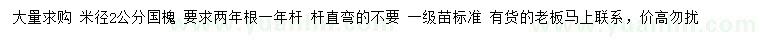 求購米徑2公分國槐