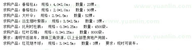 求購垂榕柱、大葉傘、細(xì)葉紫薇等