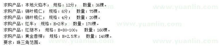 求購(gòu)本地火焰木、錦葉欖仁、紅車等