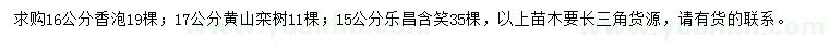 求購香泡、黃山欒樹、樂昌含笑