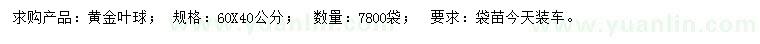 求購(gòu)60公分黃金葉球