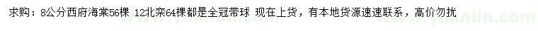 求購8公分西府海棠、12公分北欒