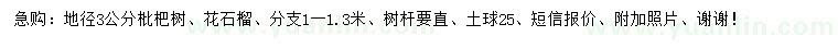 求購地徑3公分枇杷樹、花石榴